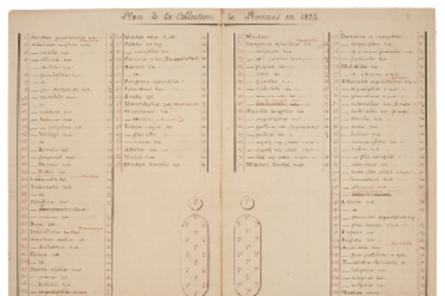 Abb. 4: Pflanzplan der Pfingstrosenbeete auf der Garteninsel, Zeichnung von Wilhelm Funke, 1834.</br><em>Rechte: Familie von Wolff Metternich zur Gracht</em>