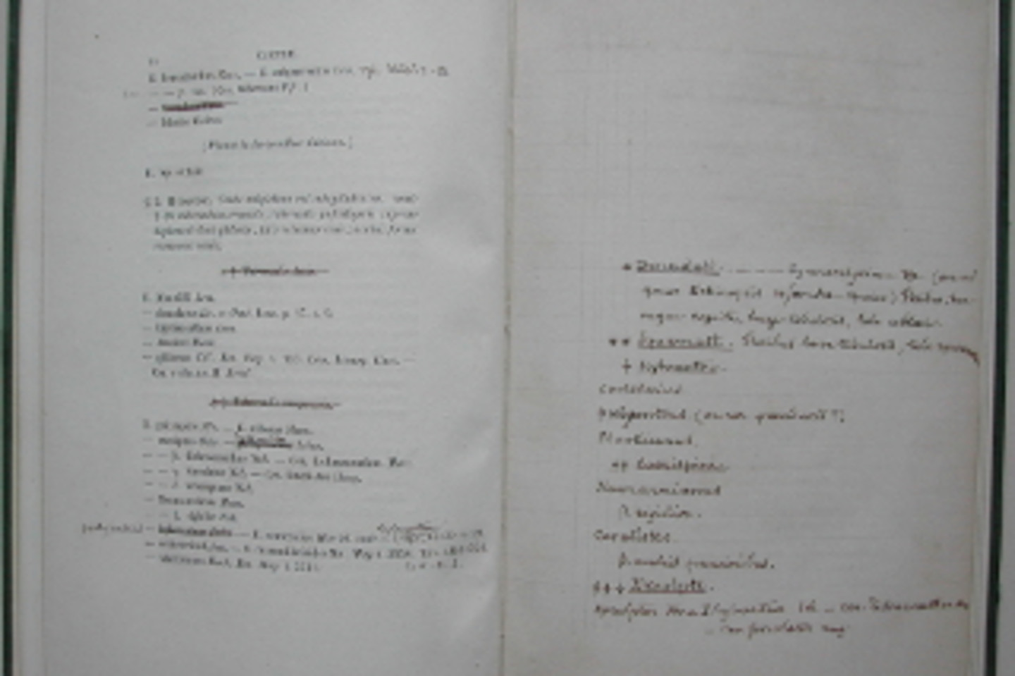 Abb. 3: Exemplar der Cacteae in horto Dyckensi cultae 1844 mit handschriftlichen Ergänzungen Josephs zu Salm-Reifferscheidt-Dyck auf eingebundenen Leerseiten.</br><i> Rechte: gemeinfrei</i>